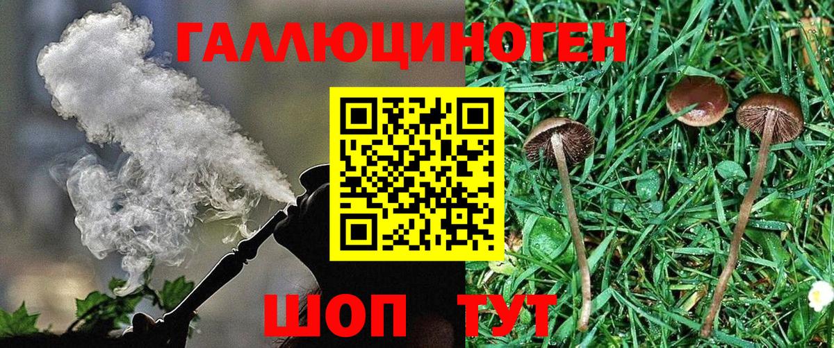 купить наркоту  Галлюциногенные грибы Psilocybine cubensis  Вход с VPN  Псилоцибиновые грибы мицелий  Конаково 